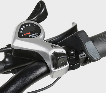 XWLX09-II Fat Tire Mountain Ebike