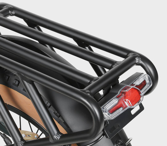 XWLX09-II Fat Tire Mountain Ebike