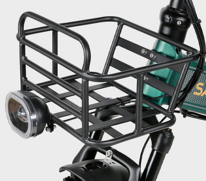 XWLX09-II Fat Tire Mountain Ebike