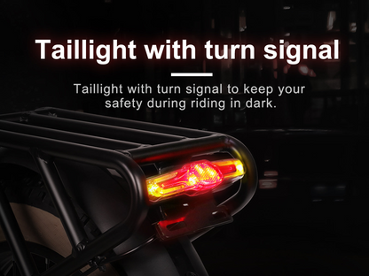 XWLX09-II Fat Tire Mountain Ebike