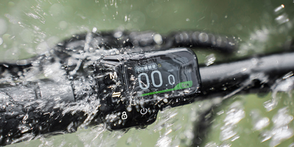 Fiido X Folding Electric Bike image 6