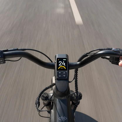 Fiido Titan Electric Mountain Bike image 13