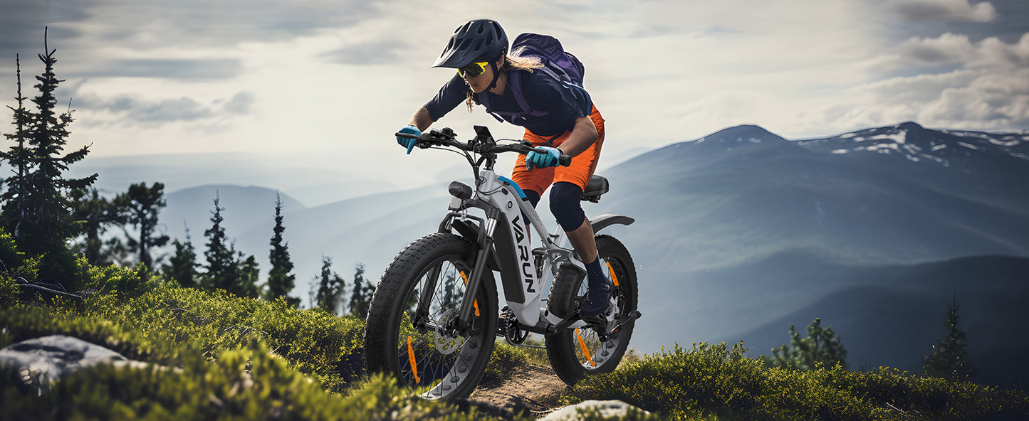 VARUN S26-1 Electric Bike image 8