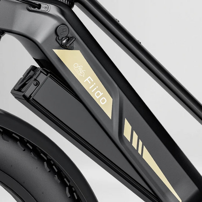 Fiido Titan Electric Mountain Bike image 4