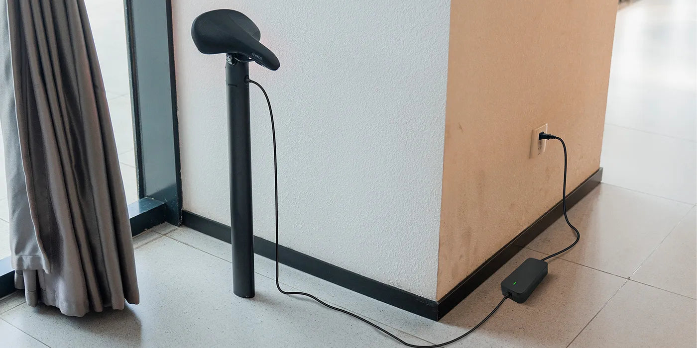 Fiido D11 250W Folding E-bike Removable Battery image 3