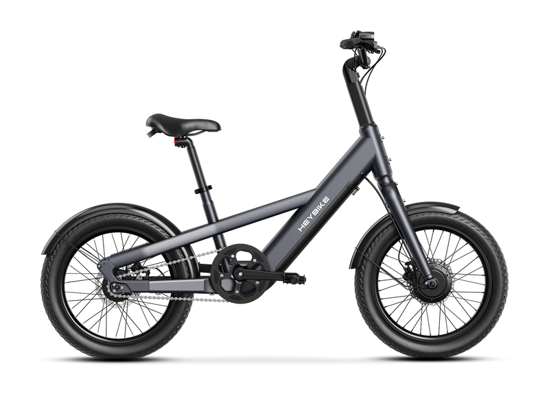 Heybike EC compact City image 1