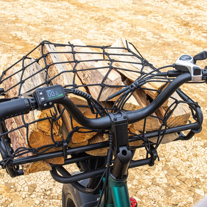 Fiido T2 Longtail Cargo E-bike image 4