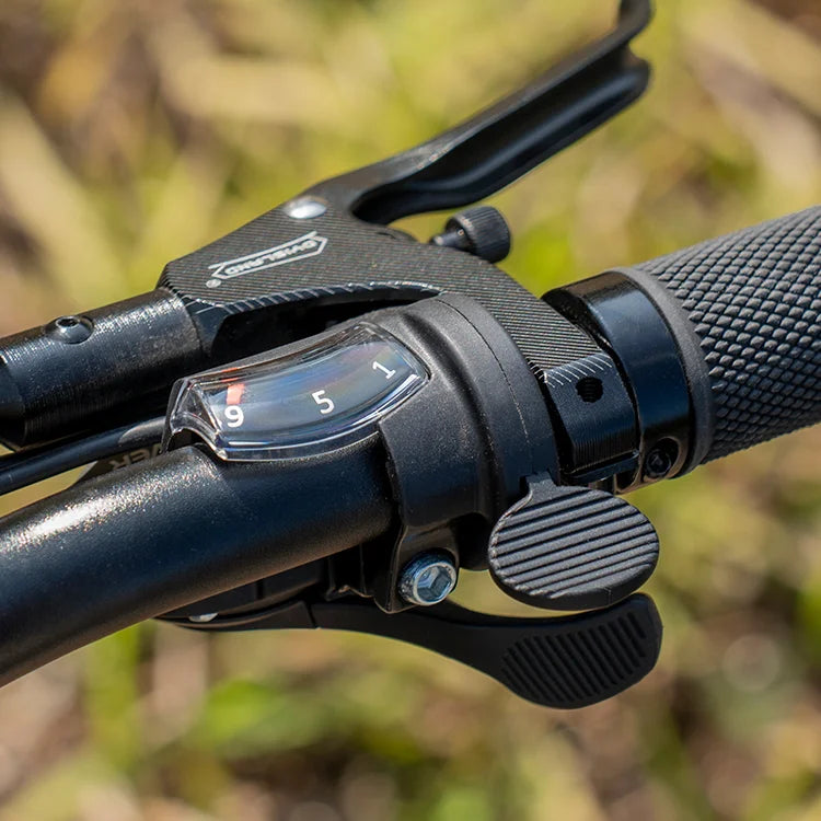 Fiido Titan Electric Mountain Bike image 3