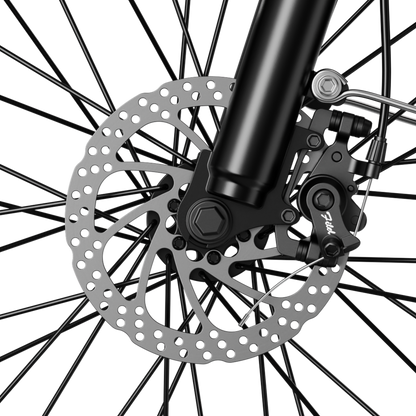 Jasion Retrovolt Retro Electric Bike image 6