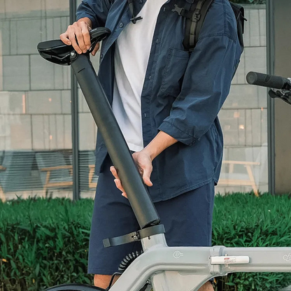 Fiido D11 250W Folding E-bike Removable Battery image 9