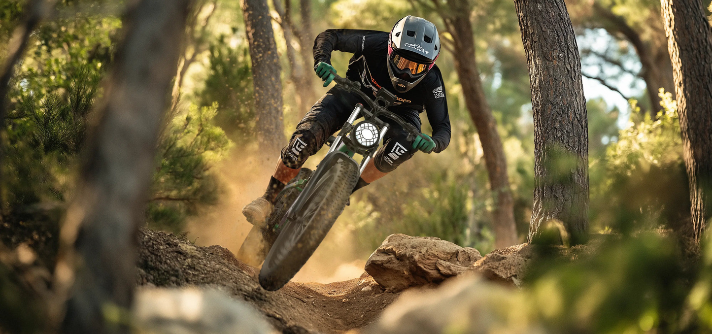 DUOTTS E26 Electric Bike image 6