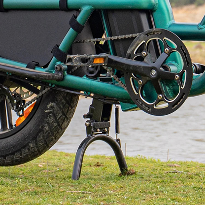 Fiido T2 Longtail Cargo E-bike image 5