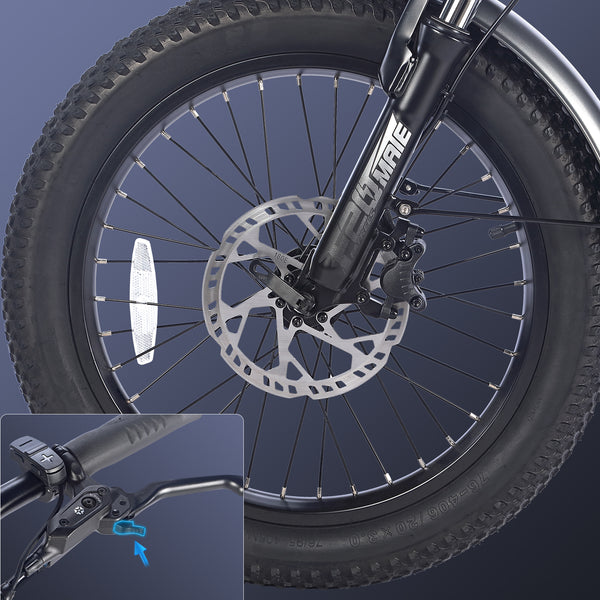 Fafrees F20 Mate Cargo E-Bike image 6
