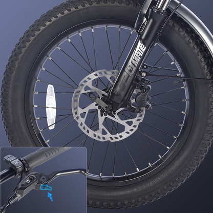 Fafrees F20 Mate Cargo E-Bike image 6