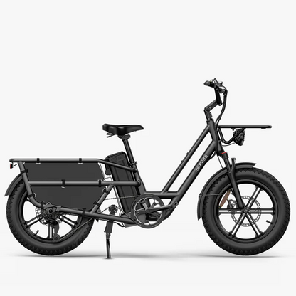 Fiido T2 Longtail Cargo E-bike image 0