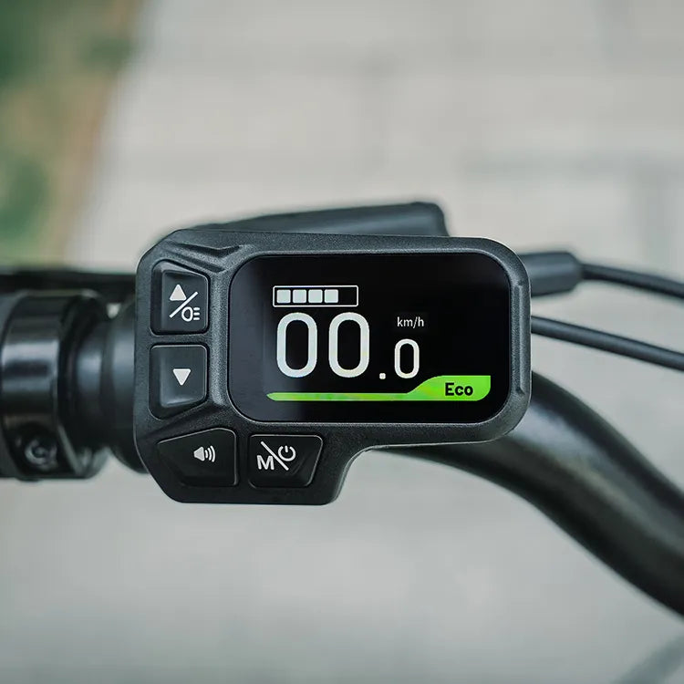 Fiido D11 250W Folding E-bike Removable Battery image 10