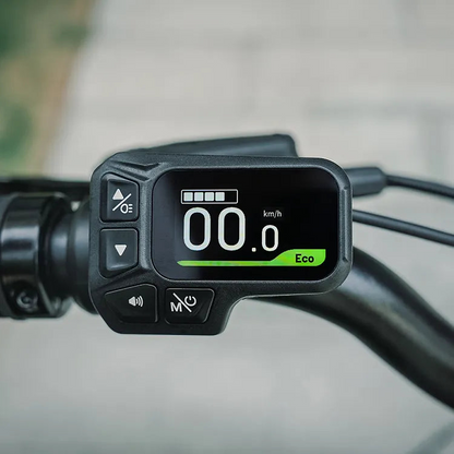 Fiido D11 250W Folding E-bike Removable Battery image 10