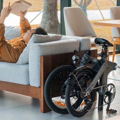 Fiido D11 250W Folding E-bike Removable Battery image 6