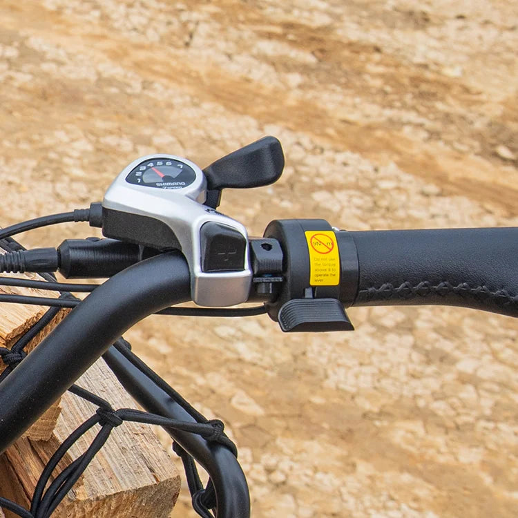 Fiido T2 Longtail Cargo E-bike image 2