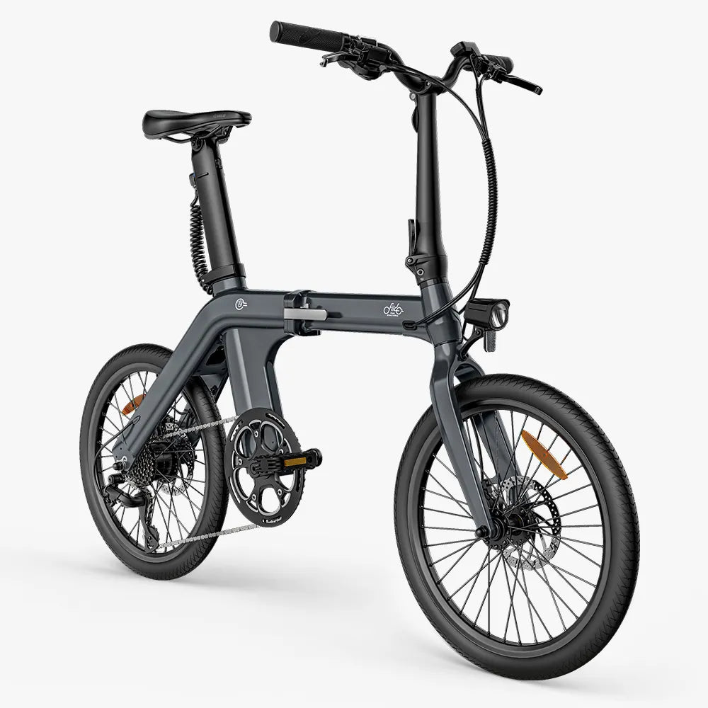 Fiido D11 250W Folding E-bike Removable Battery image 1