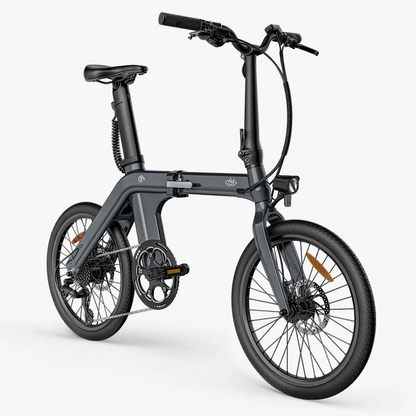 Fiido D11 250W Folding E-bike Removable Battery image 1