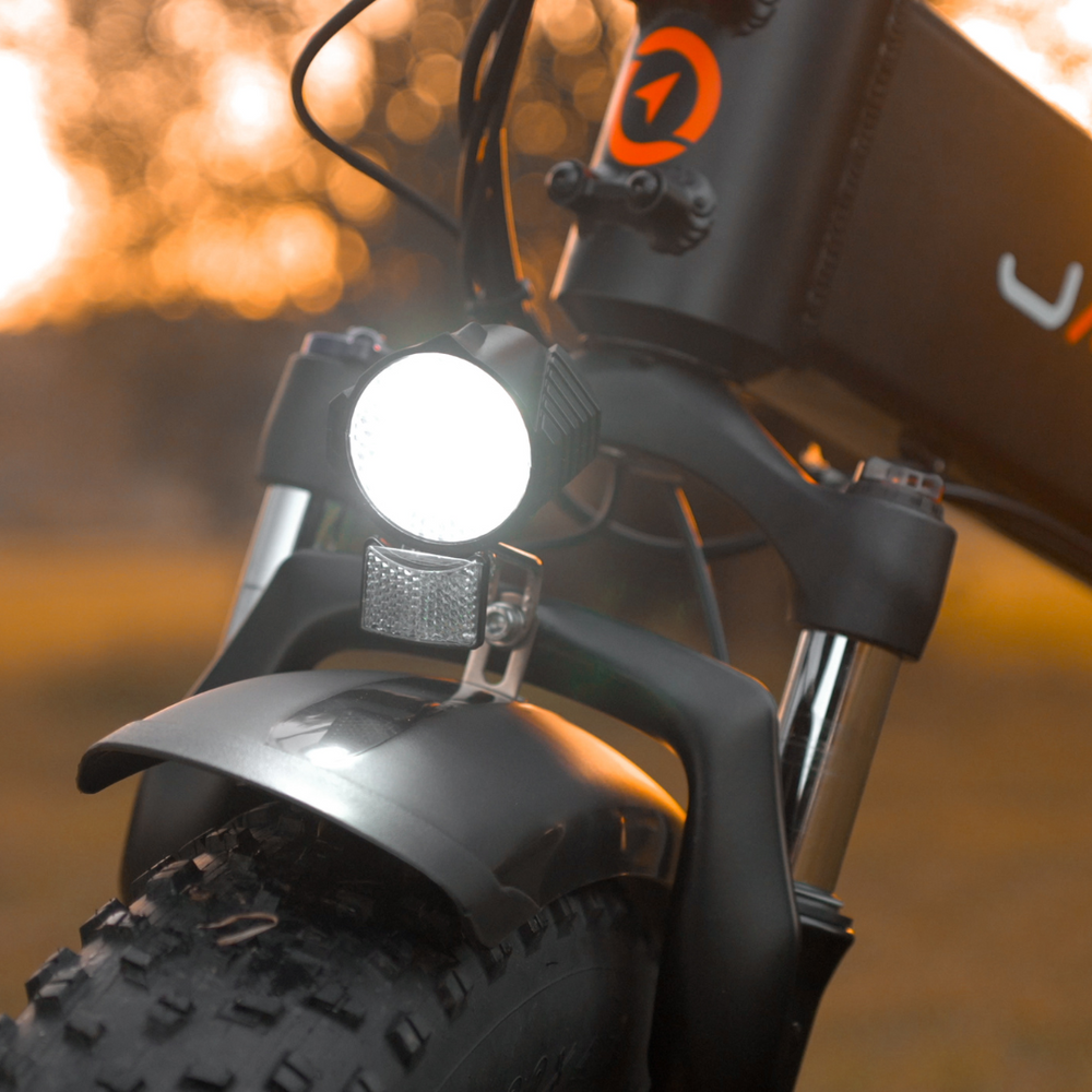 Jasion X-Hunter Ebike image 7