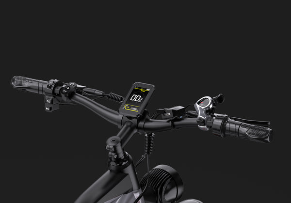 DUOTTS F26 Electric Bike image 5