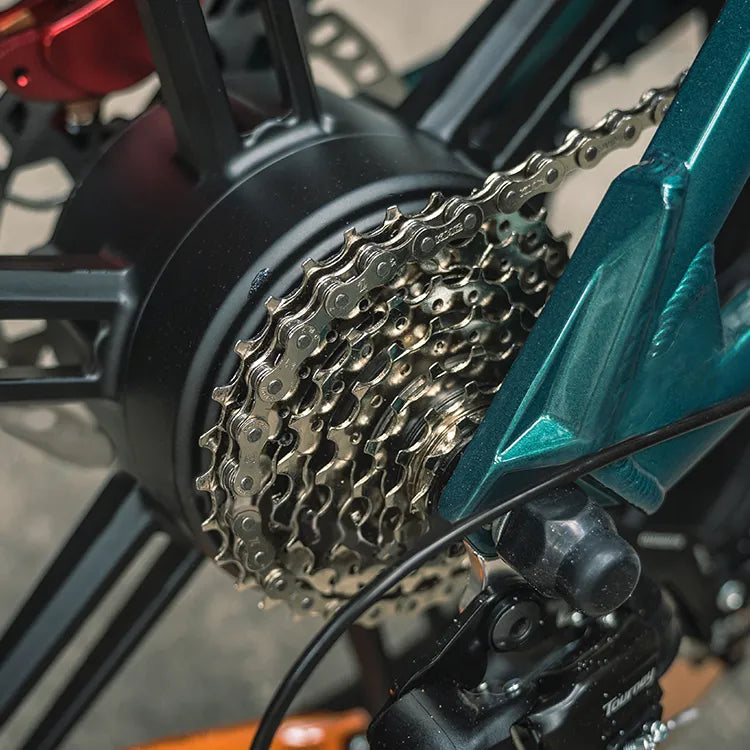 Fiido M1 Pro Electric Bike Upgraded Version image 10