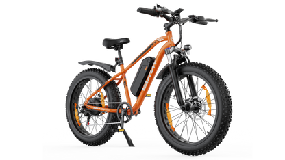 VARUN M26-2 PRO Fat-Tire E-Bike