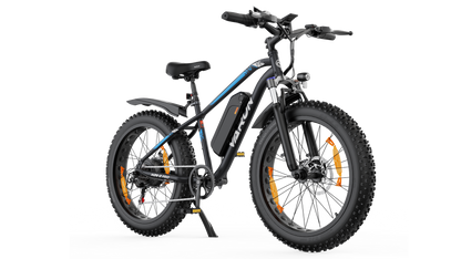 VARUN M26-2 PRO Fat-Tire E-Bike