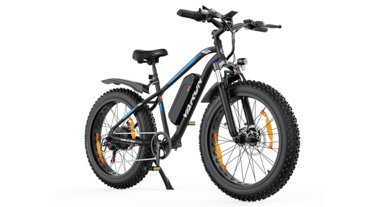 VARUN M26-2 PRO Fat-Tire E-Bike